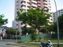 Galaxy Towers (D15), Apartment #1177792